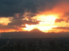 f0138311_8362499.jpg