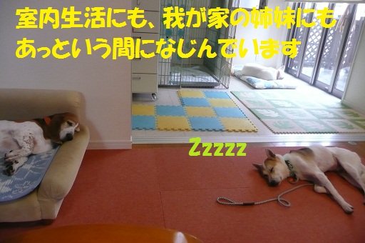 f0121712_9295196.jpg