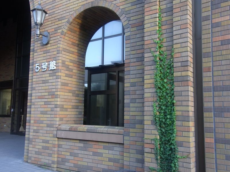 ツタに覆われる理学部_c0025115_19182635.jpg