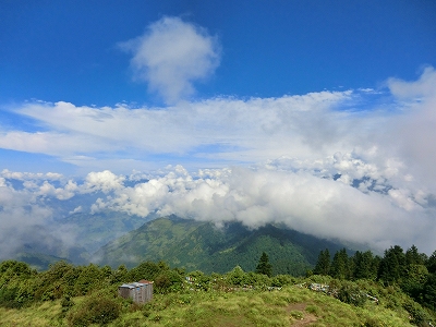 d0074518_1353950.jpg