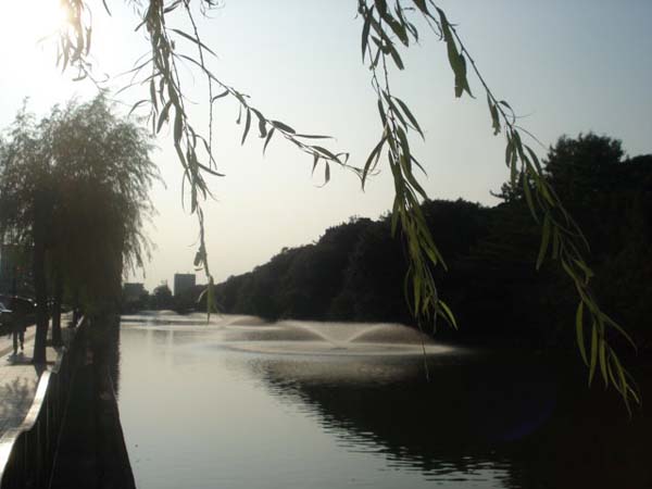 e0110719_1763718.jpg