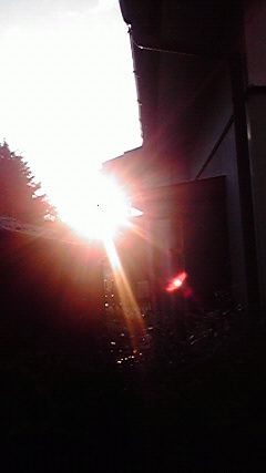 d0110022_202235.jpg