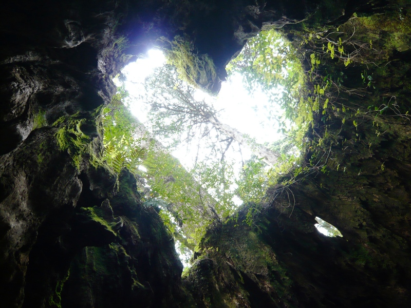 神々の島、屋久島_a0133724_115468.jpg