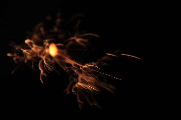 d0200926_623941.jpg