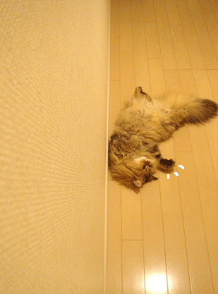 e0157129_1941418.gif