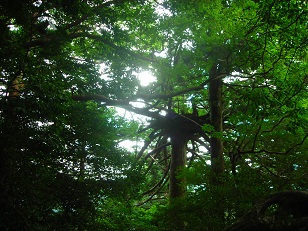 f0165730_22454946.jpg