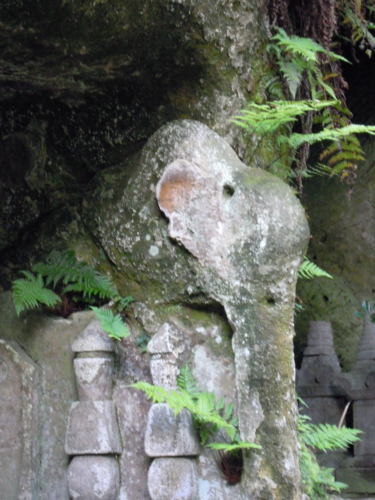 仏の庭 in 松島_e0081334_15424596.jpg