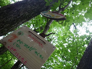 下川小学校3年生　木の図鑑と樹名板をつくろう！_b0196837_1123328.jpg