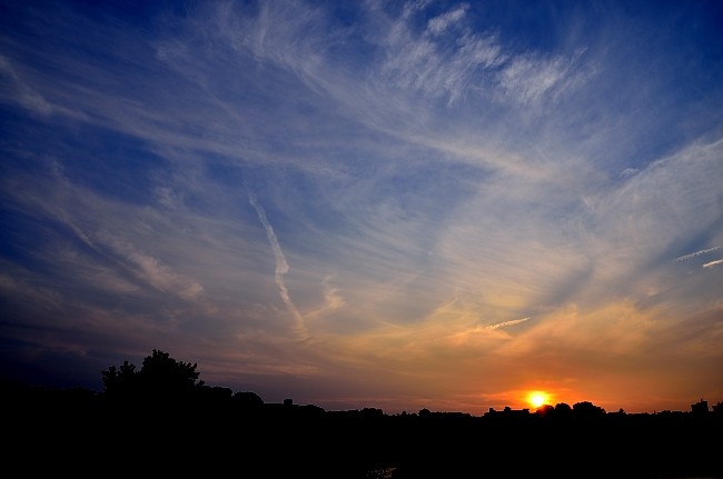 e0055138_3244526.jpg
