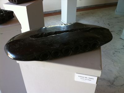 d0136540_649743.jpg