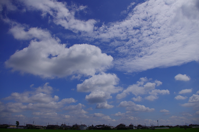 d0186245_2333758.jpg