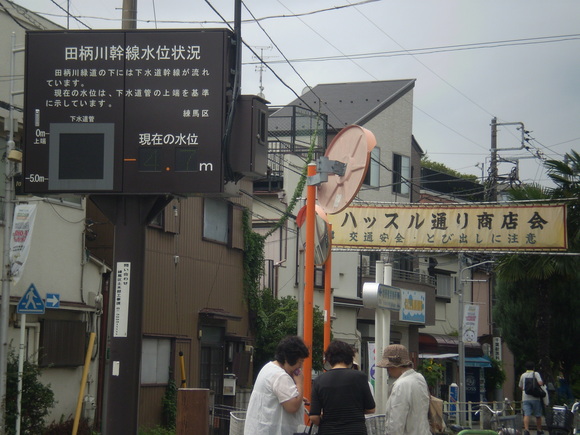 田柄2丁目 人生暗渠 練馬区 水徒然