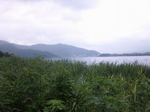 e0106251_2481971.jpg