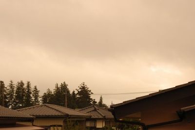 f0236653_81957.jpg