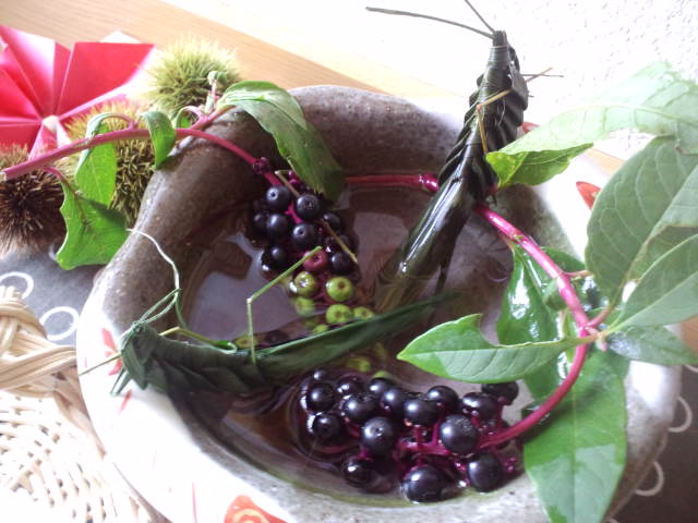 e0230154_16141883.jpg