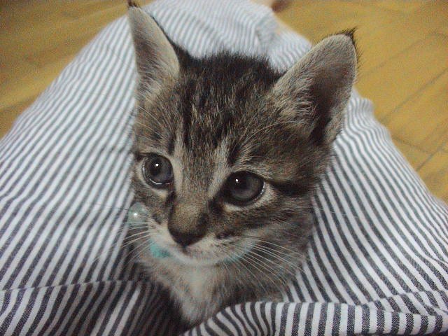 9月のお知らせ。_e0060555_1455277.jpg