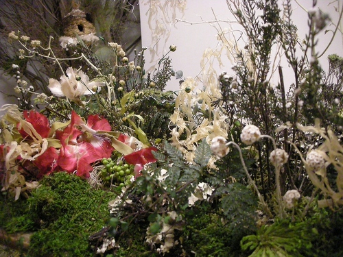 Palm maison & bis_d0162257_23565759.jpg