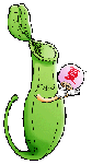 c0021459_3501465.gif