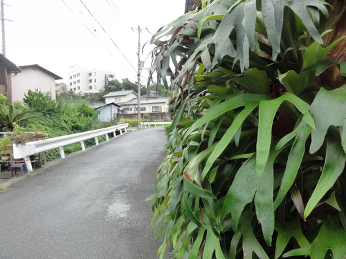 c0108460_17233631.jpg