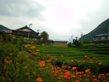b0056570_1322494.jpg