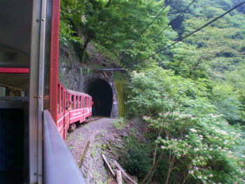 b0056570_1333024.jpg