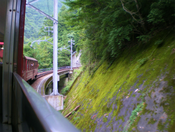 b0056570_1504799.jpg