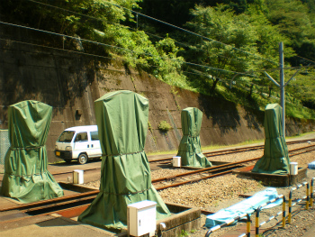 b0056570_1591566.jpg