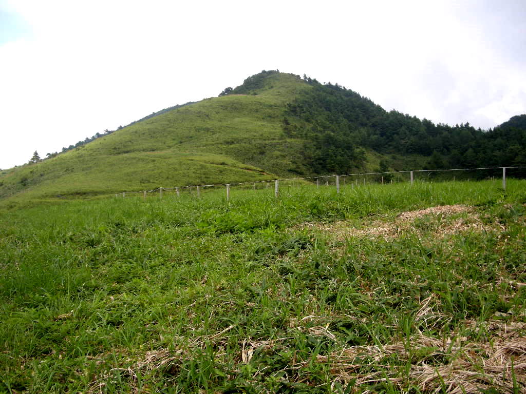 b0185573_60258.jpg