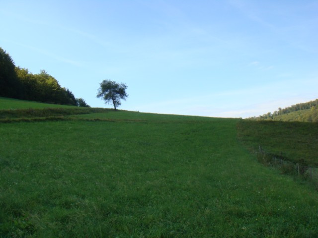d0116376_1255.jpg