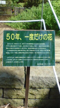 e0041688_22182862.jpg