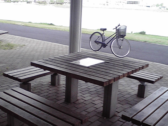 e0046190_94436.jpg