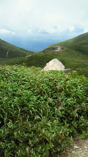 d0168796_2312761.jpg