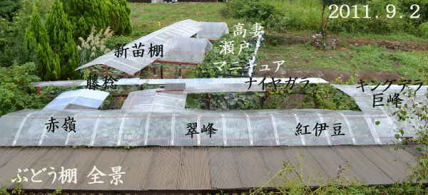 d0122497_13591322.jpg