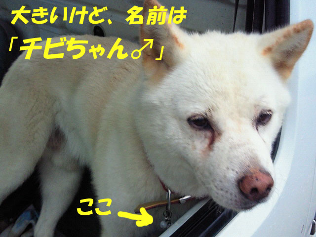 お客様のレポート_c0140599_13534043.jpg