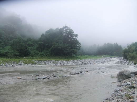 d0024504_16535759.jpg