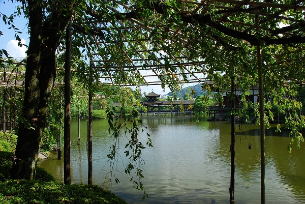 a0114714_20511248.jpg