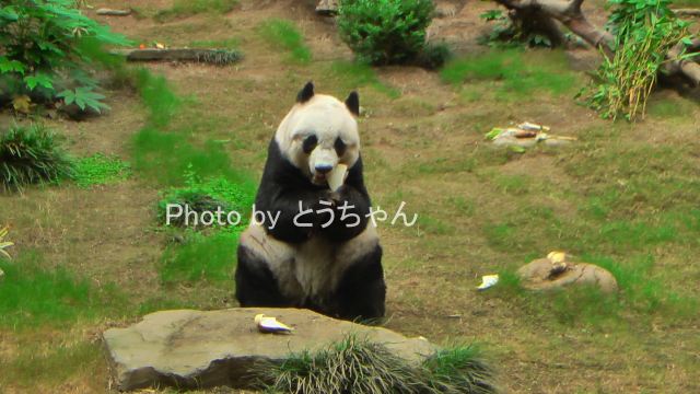 母は健在！！香港編(2011.08.16,19)_f0079716_18583870.jpg