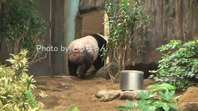 母は健在！！香港編(2011.08.16,19)_f0079716_1975938.jpg