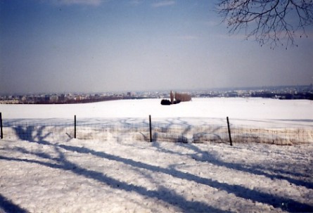a0116217_22314765.jpg