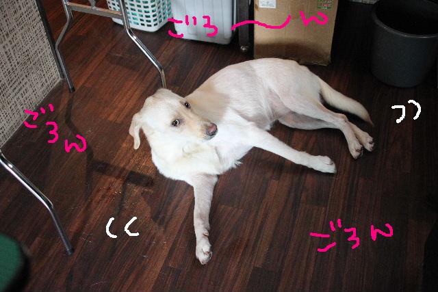 ホテルれぽ♪_b0130018_16344673.jpg