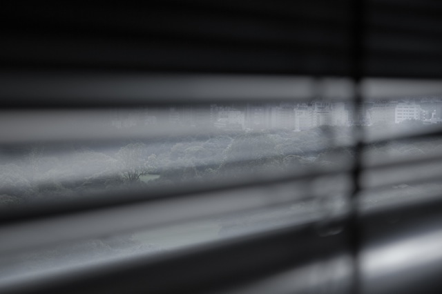 f0119425_1054772.jpg