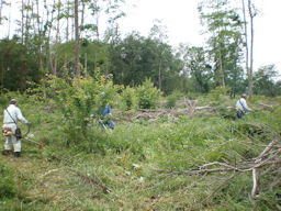 f0161535_22385256.jpg