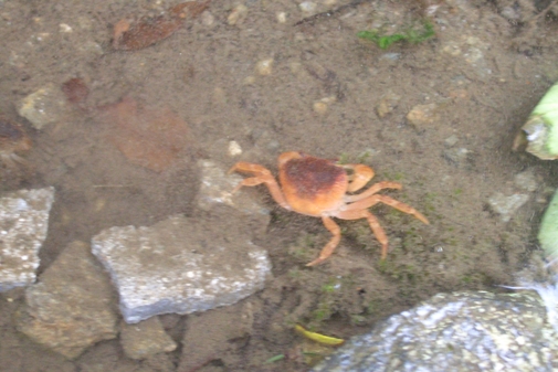 c0176941_17363181.jpg