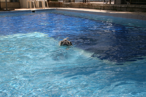 e0018143_3424163.jpg