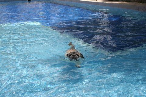 e0018143_3431147.jpg
