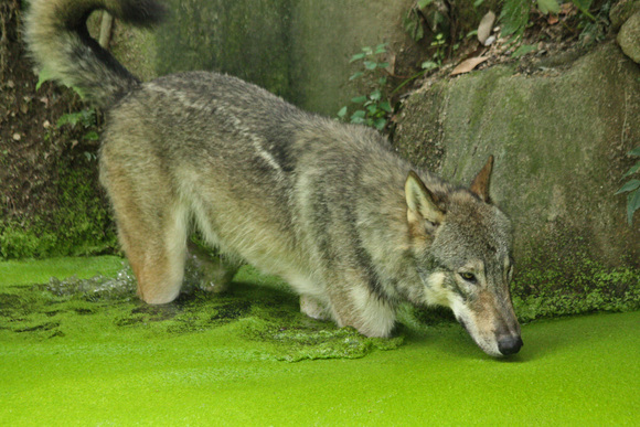 d0227252_1742013.jpg
