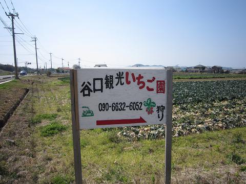 b0206253_1455685.jpg