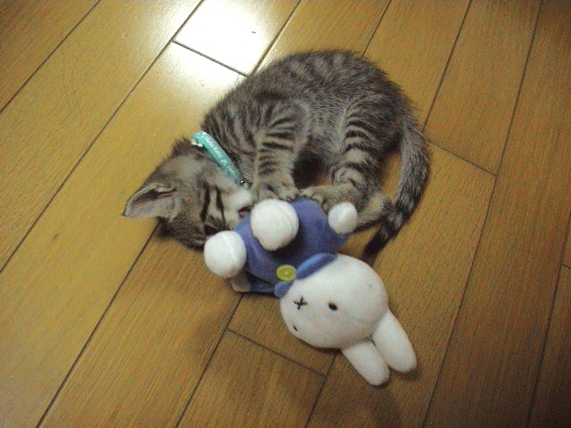 好き好き大好き。_e0060555_20591834.jpg