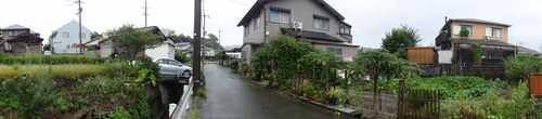 c0108460_12341971.jpg