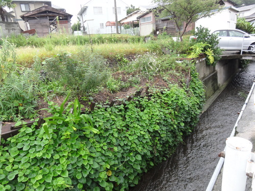 c0108460_12344381.jpg